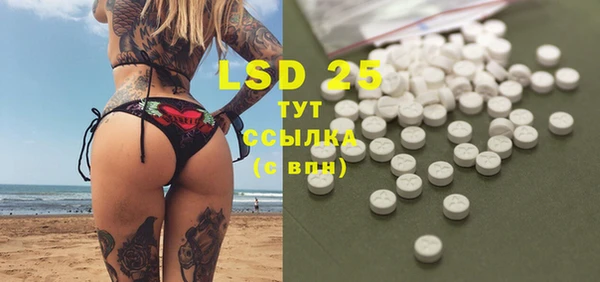 прущие грибы Лагань