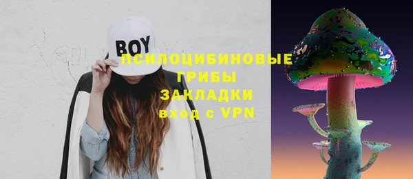соль ск Лабытнанги