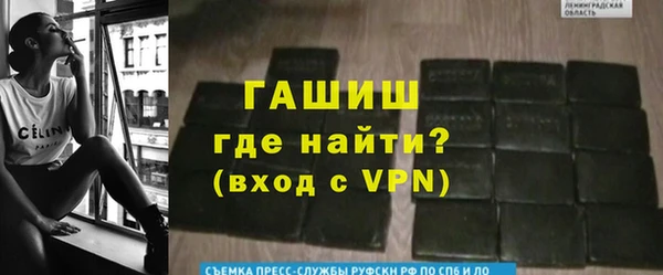 прущие грибы Лагань