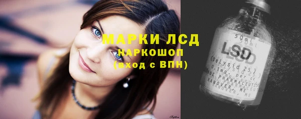 прущие грибы Лагань