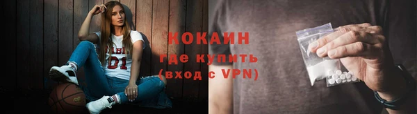 прущие грибы Лагань