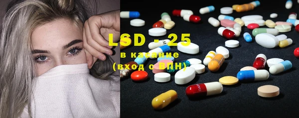 прущие грибы Лагань