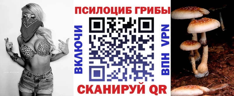 Купить  Навашино  Псилоцибиновые грибы прущие грибы 